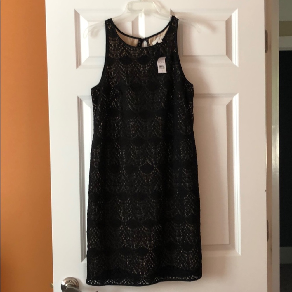 Ann Taylor Loft Lace Black Dress Size 8